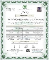 رخشا اختر ماهور آسمان 