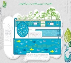 رخشا اختر ماهور آسمان 