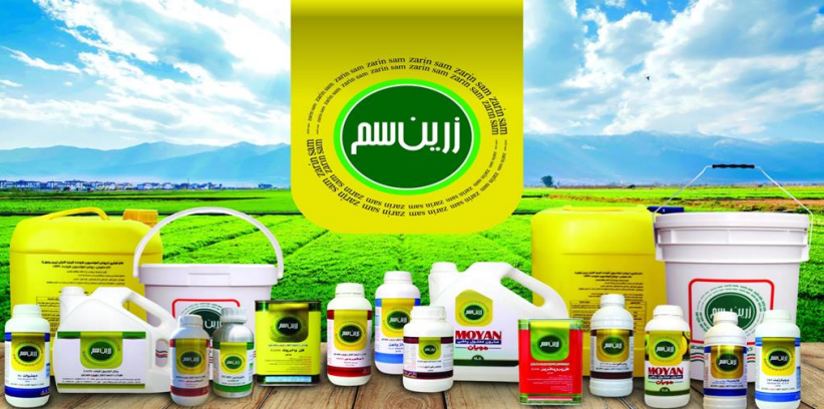 کیمیاکاران زرین مامطیر