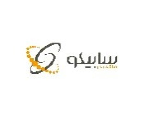 سارنگ بیان کارا 
