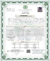 رخشا اختر ماهور آسمان 